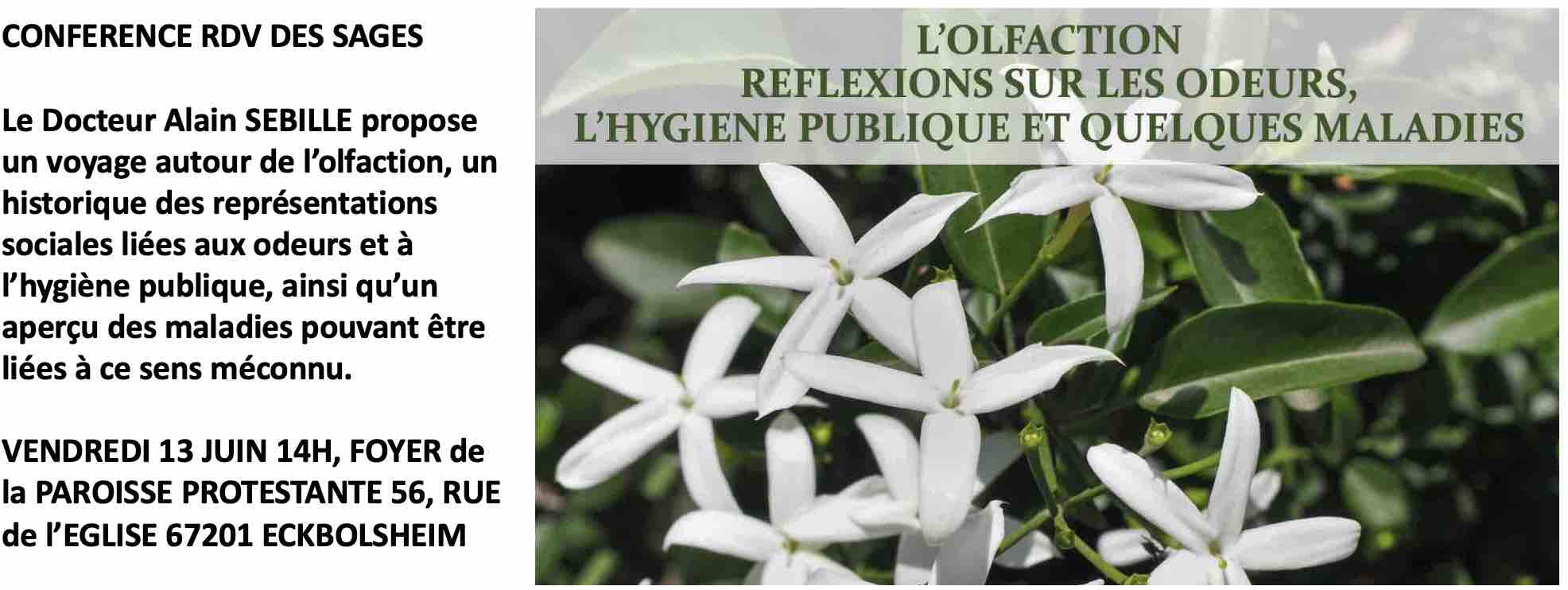 OLFACTION
