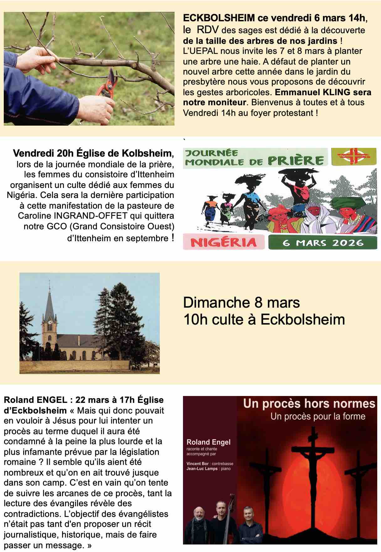 Taille Arbres JMP Roland Engel